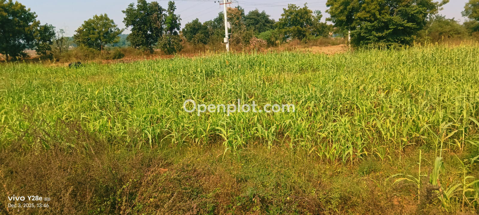 Land for Sale in Mukdampur,Karimnagar